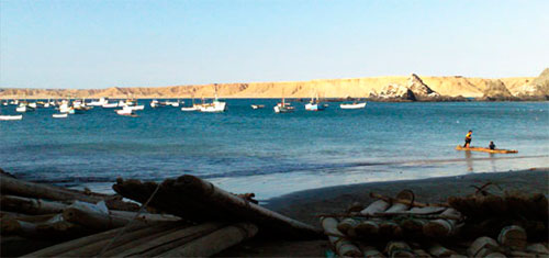 Imagen de pescado congelado