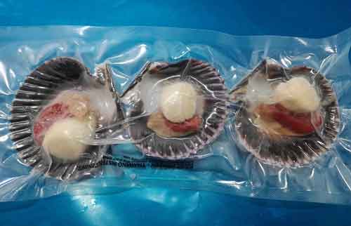 Conchas selladas al vacío listas para enviar 