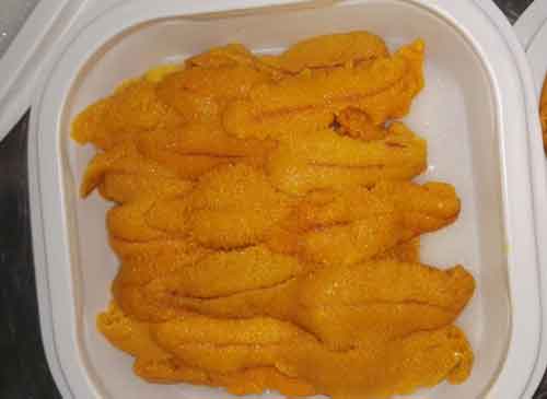 Porción de erizos congelados