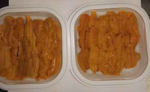 Banjedas de erizos congelados