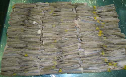 Pejerrey congelado en bloque