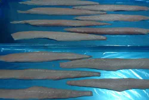 Filetes de perico