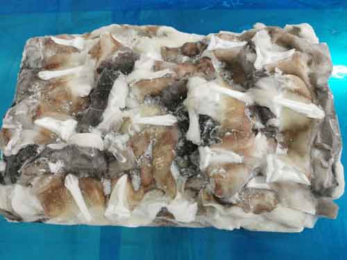 Pota congelado en bloque