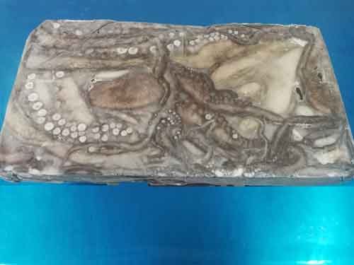 Bloque de pulpo congelado