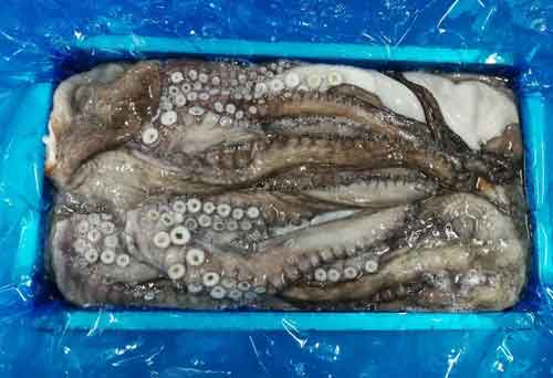 Bloque de pulpo siendo preparado para su envío