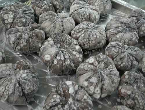 Bloque de pulpo tipo bola, congelado