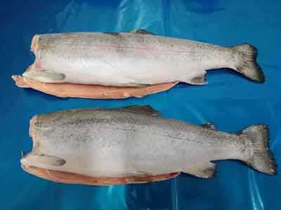 Trucha sin vísceras